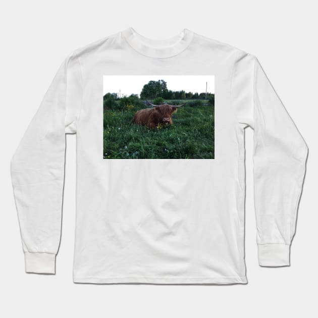 Scottish Highland Cattle Cow 2420 Long Sleeve T-Shirt by SaarelaHighland